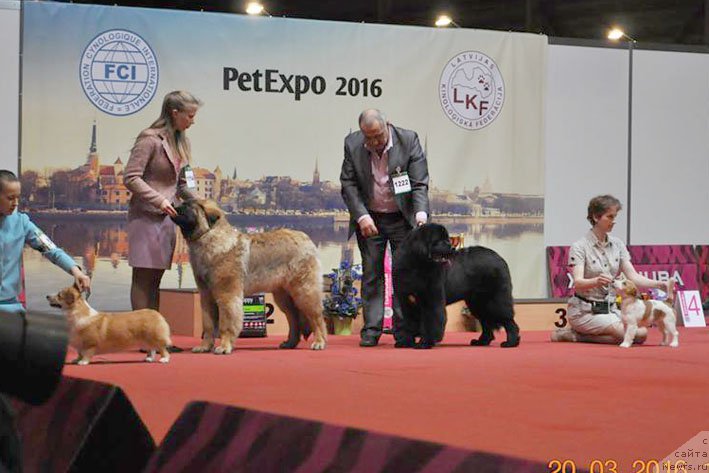 Фотография № 204252