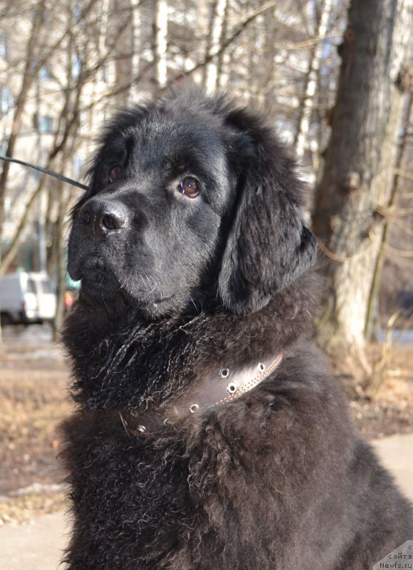 Фотография № 204262