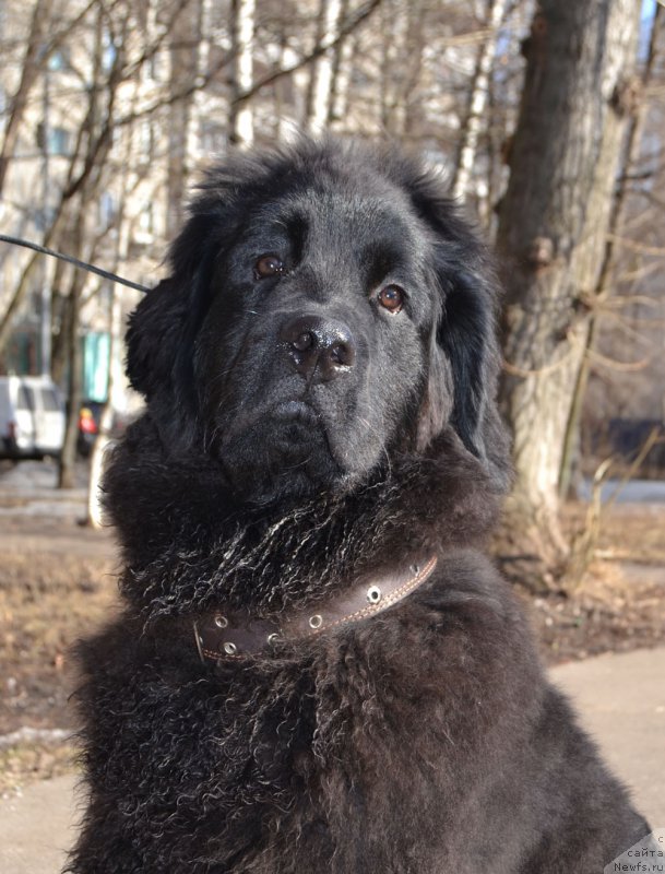 Фотография № 204263