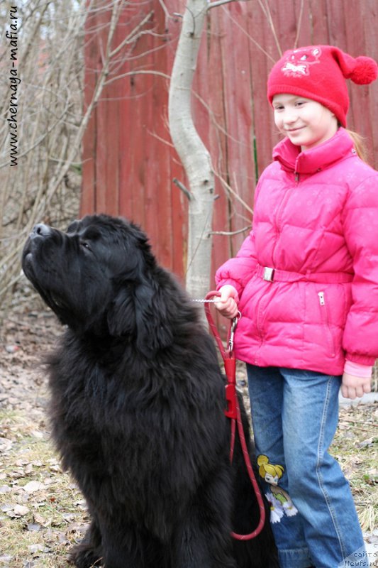 Фотография № 204273