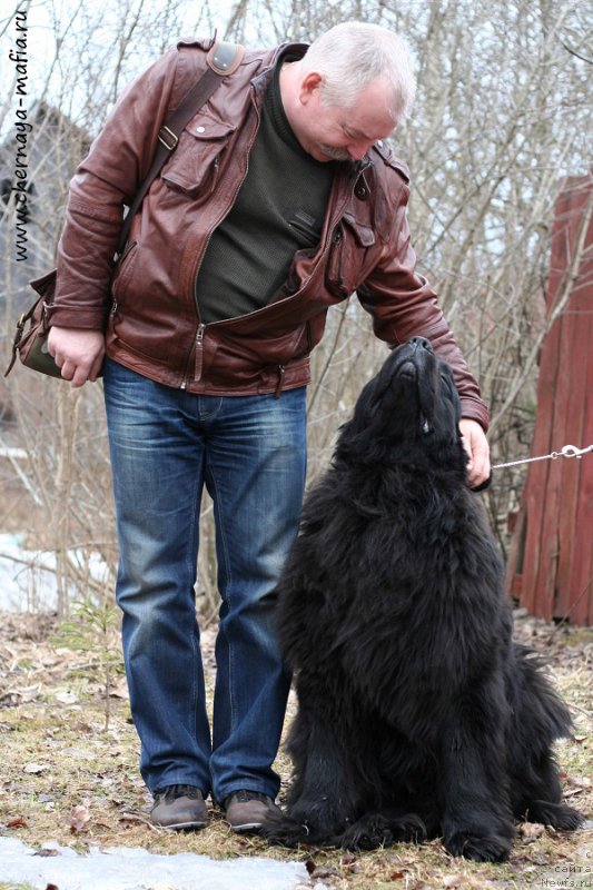 Фотография № 204277