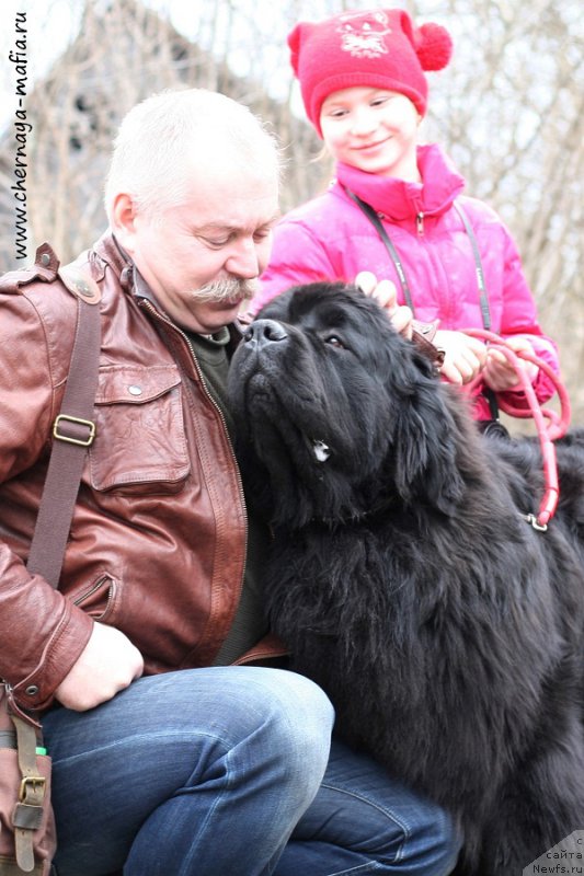 Фотография № 204278