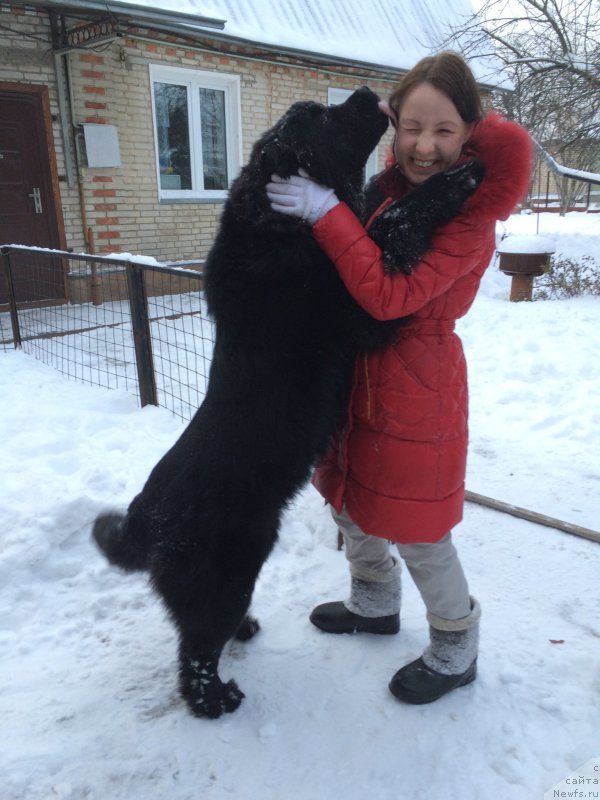 Фото: Андрей Панферов