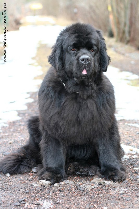 Фотография № 204287