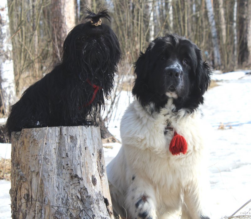 Фотография № 204291