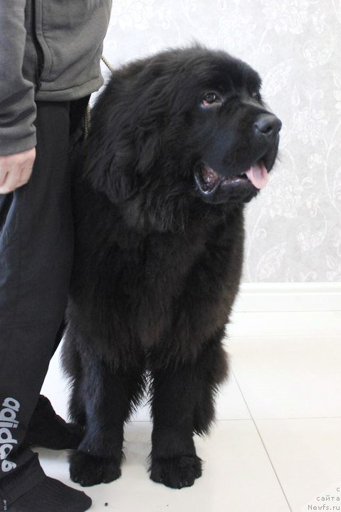 Фотография № 204325