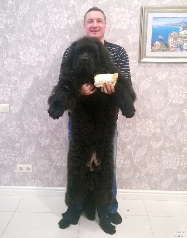 Фотография № 204329