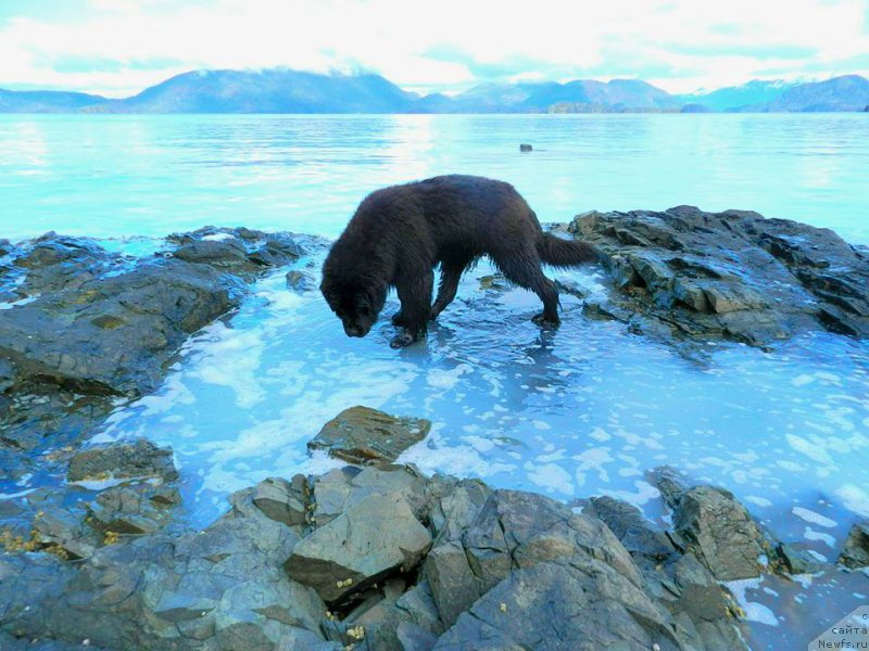 Фотография № 204330