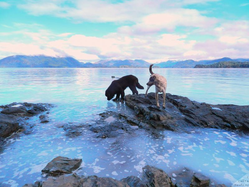 Фотография № 204331