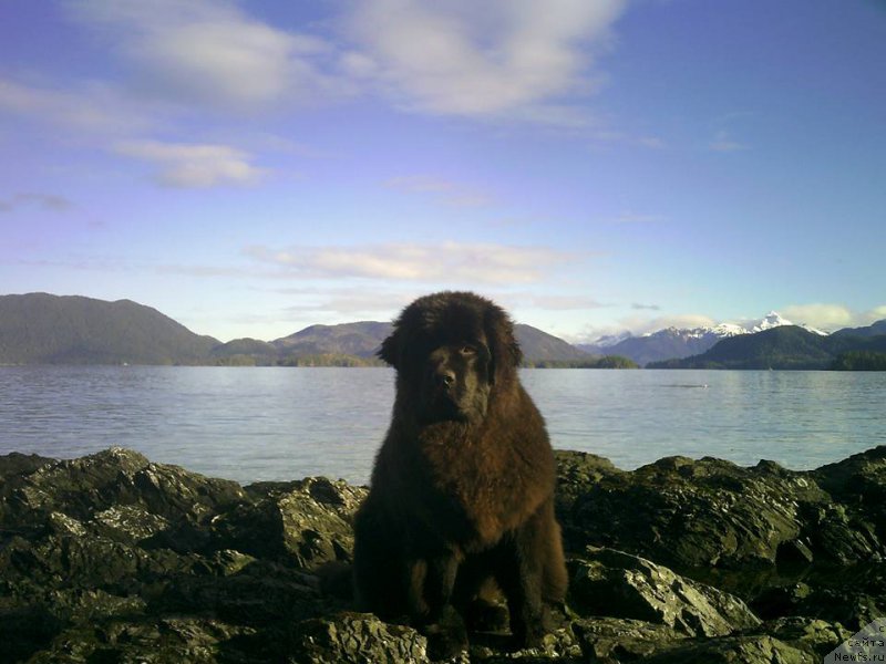 Фотография № 204332