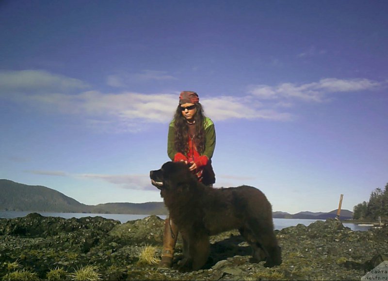 Фотография № 204333