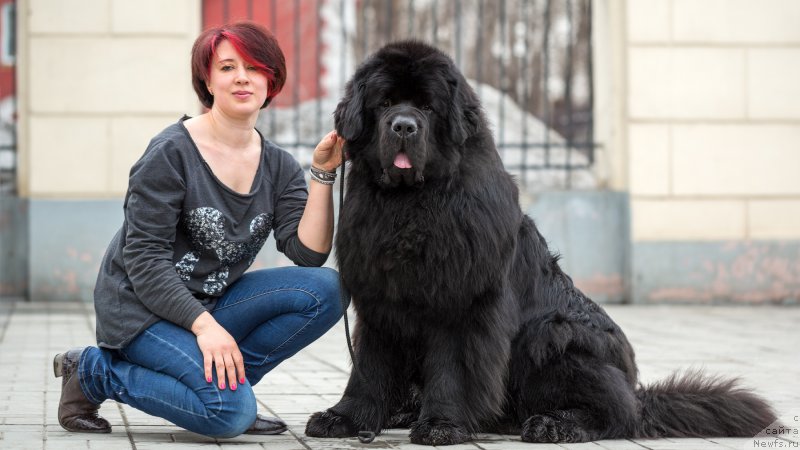 Фотография № 204340