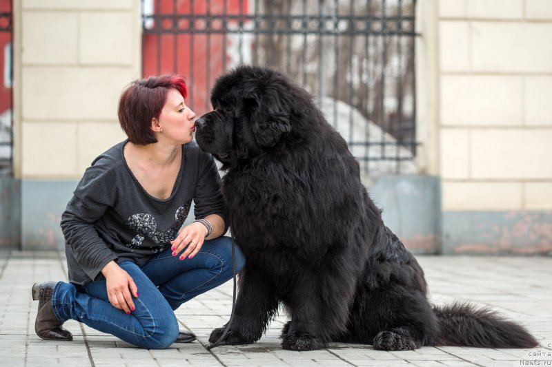 Фотография № 204341