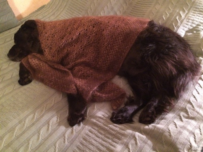 Фотография № 204342