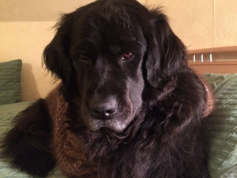 Фотография № 204343