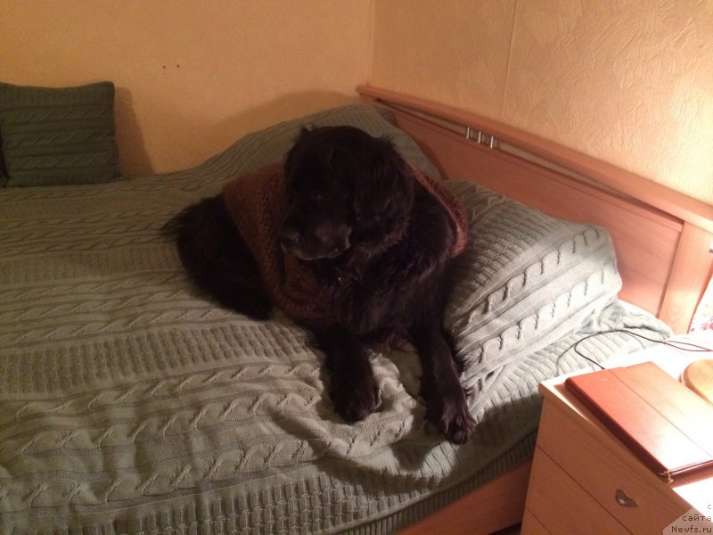 Фотография № 204344