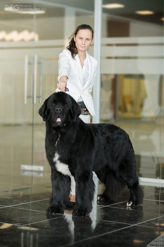 Фотография № 204345