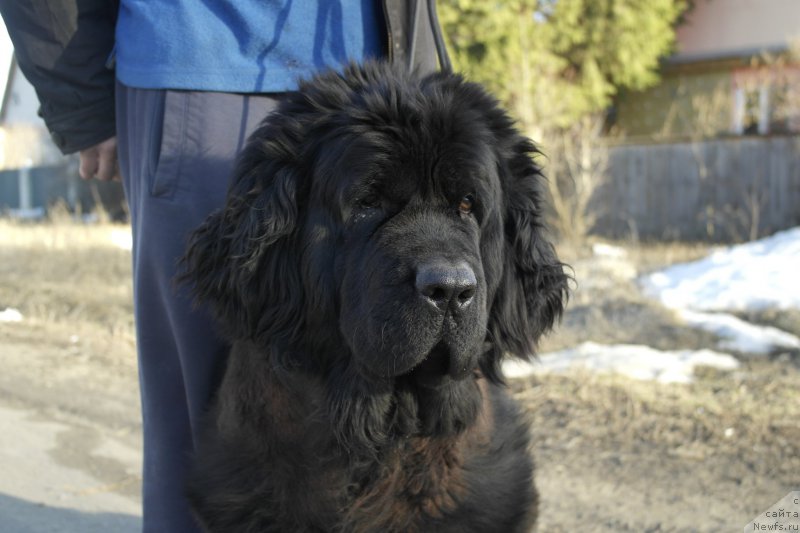 Фотография № 204347