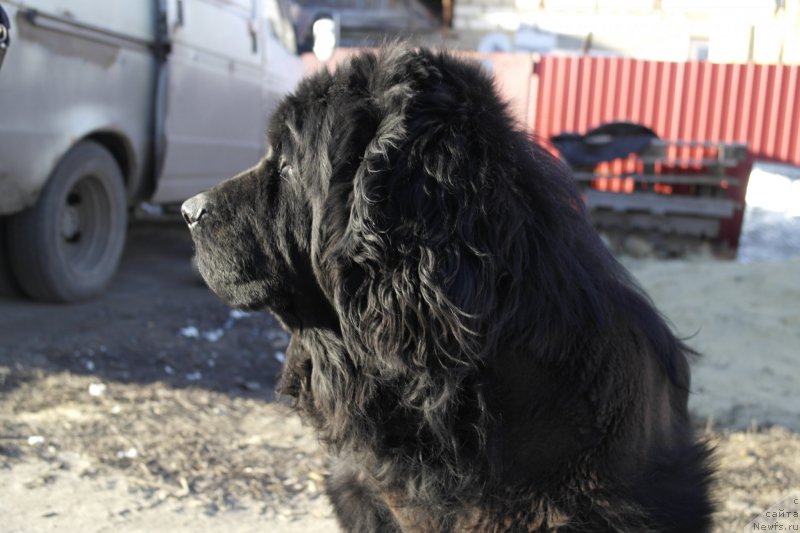 Фотография № 204350