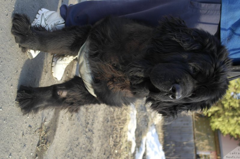 Фотография № 204352