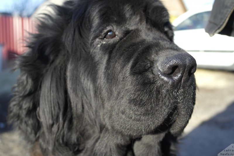 Фотография № 204353