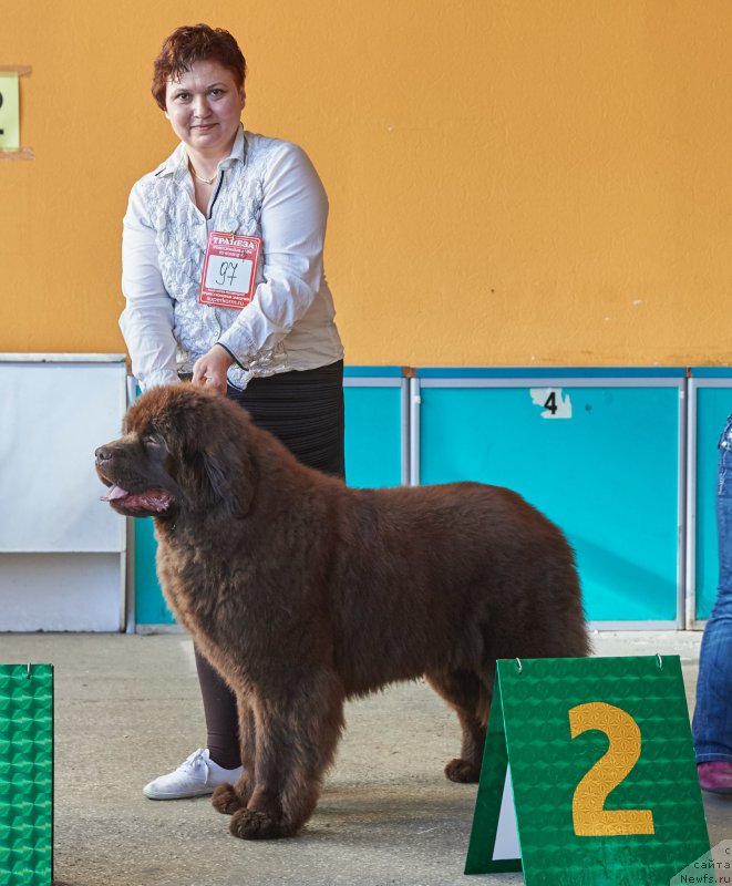 Фотография № 204362