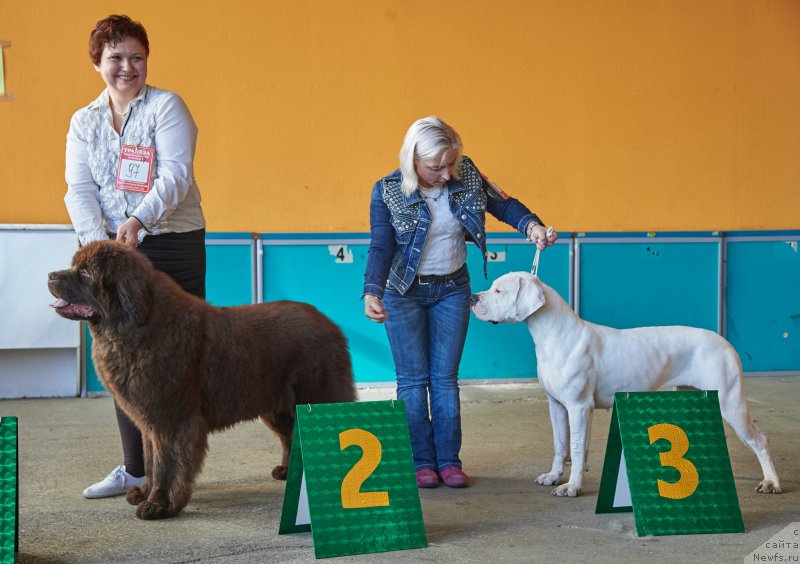 Фотография № 204363