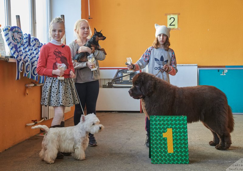 Фотография № 204365