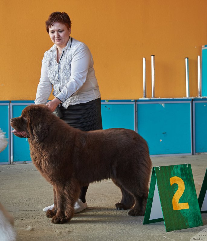 Фотография № 204366