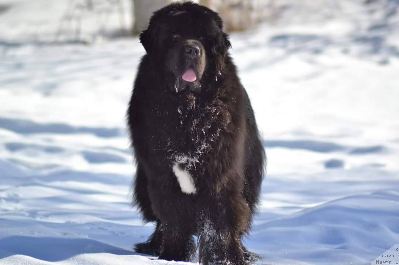 Фотография № 204369