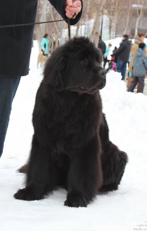 Фотография № 204375