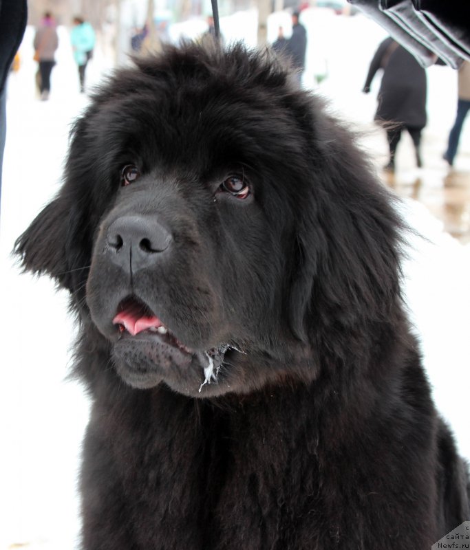 Фотография № 204376