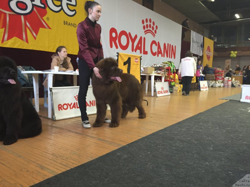 Фотография № 204386