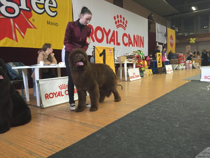 Фотография № 204387