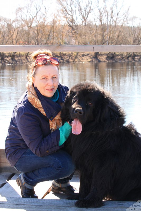 Фотография № 204388