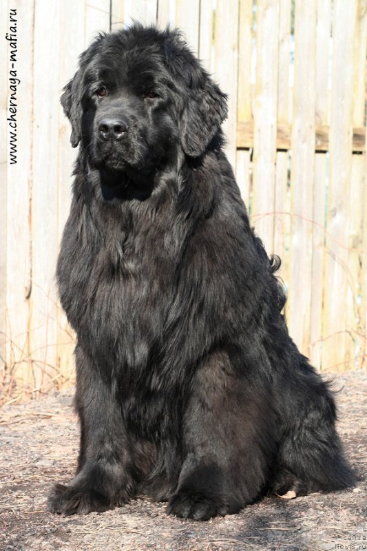 Фотография № 204391