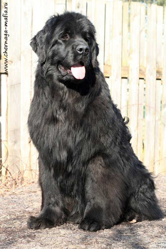 Фотография № 204392