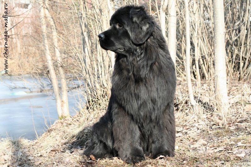 Фотография № 204395