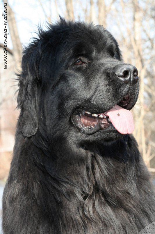 Фотография № 204398