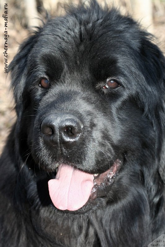 Фотография № 204403