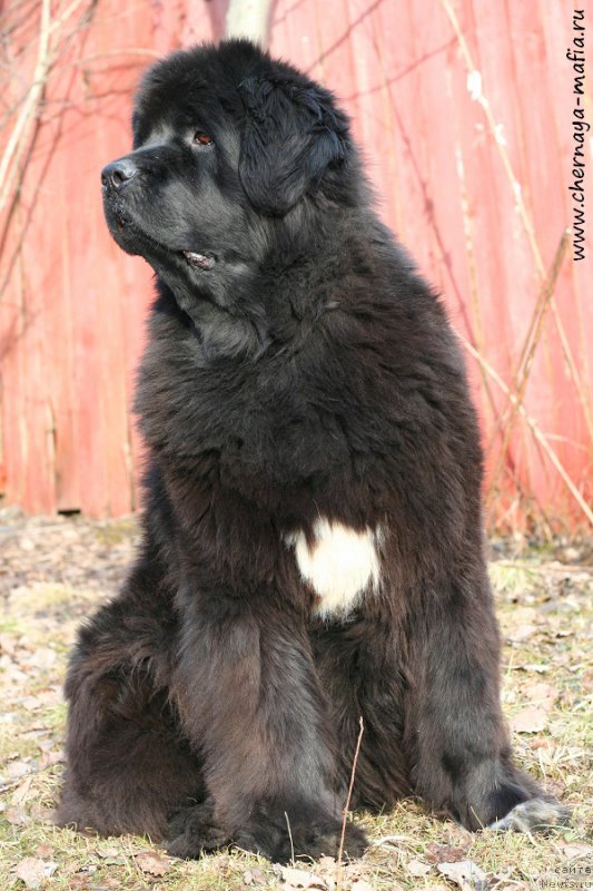 Фотография № 204415