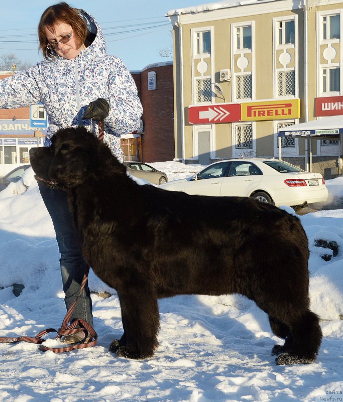 Фотография № 204419