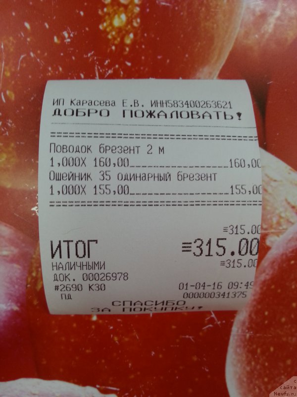 Фотография № 204424