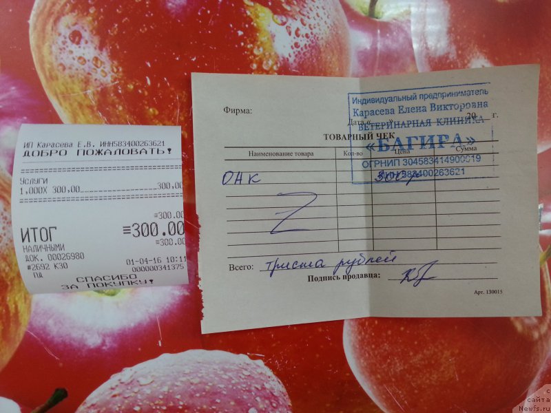 Фотография № 204425