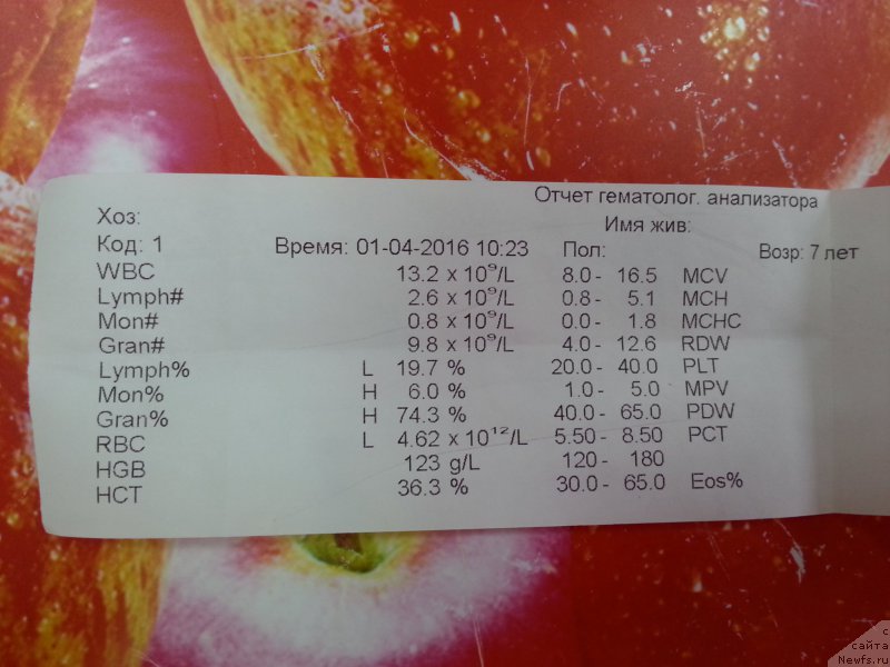 Фотография № 204426