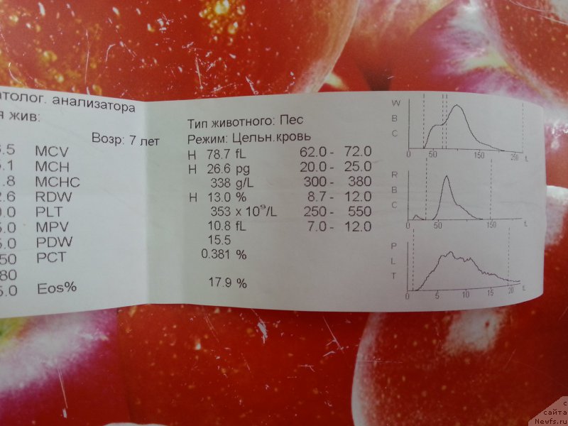 Фотография № 204427