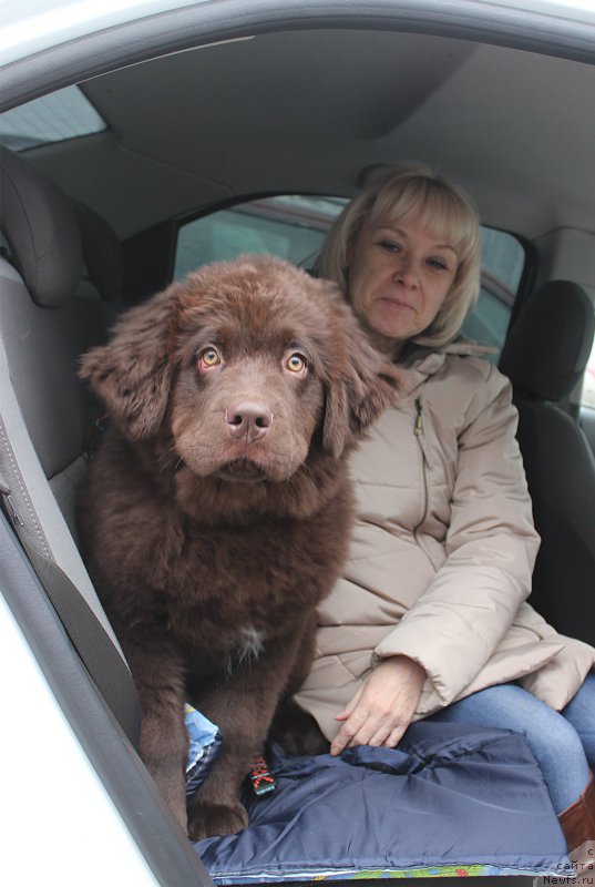 Фотография № 204433