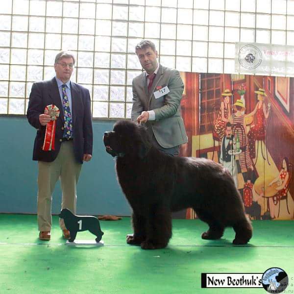 Фотография № 204435