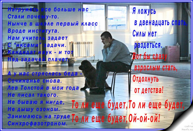 Фото: ньюфаундленд Браунблад МСК Сэмми Лесс, Александр Коротаев