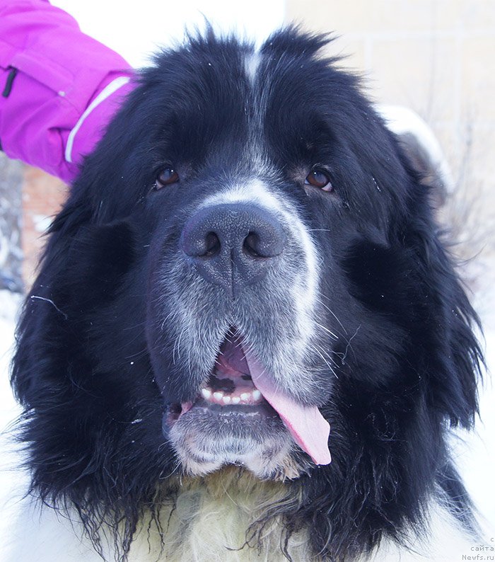 Фотография № 204446